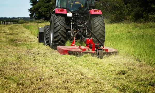 Brush Clearing Service in Lewes