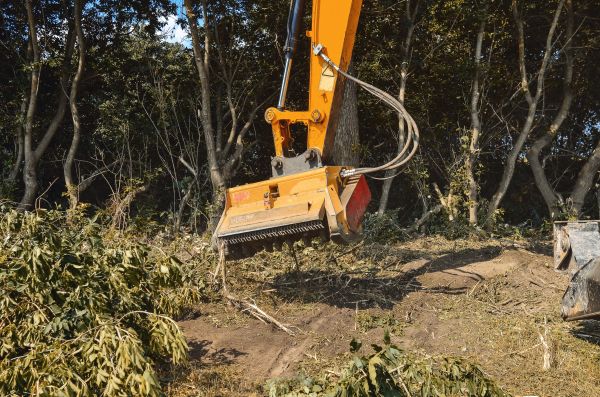 Brush Removal Service in Lewes