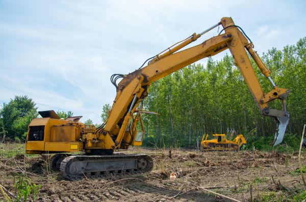 Cost of Farm Clearing in Lewes