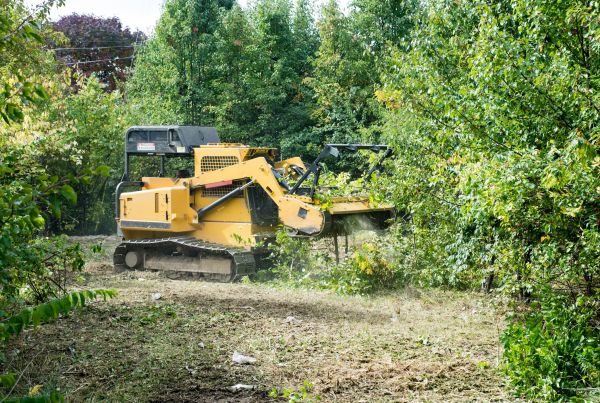 Pathway Clearing in Lewes