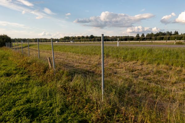 Cost of Property Line Clearing in Lewes