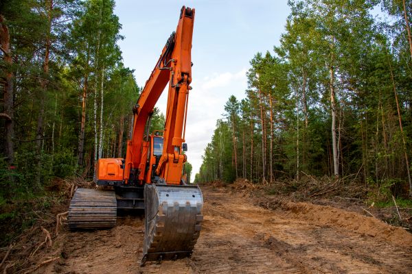 Cost of Backhoe Land Clearing in Lewes
