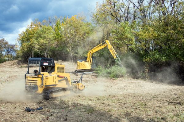 Cost of Terrain Clearing in Lewes