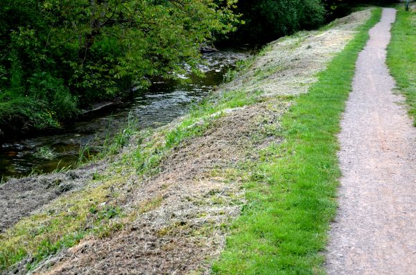 Cost of Trail Cutting in Lewes