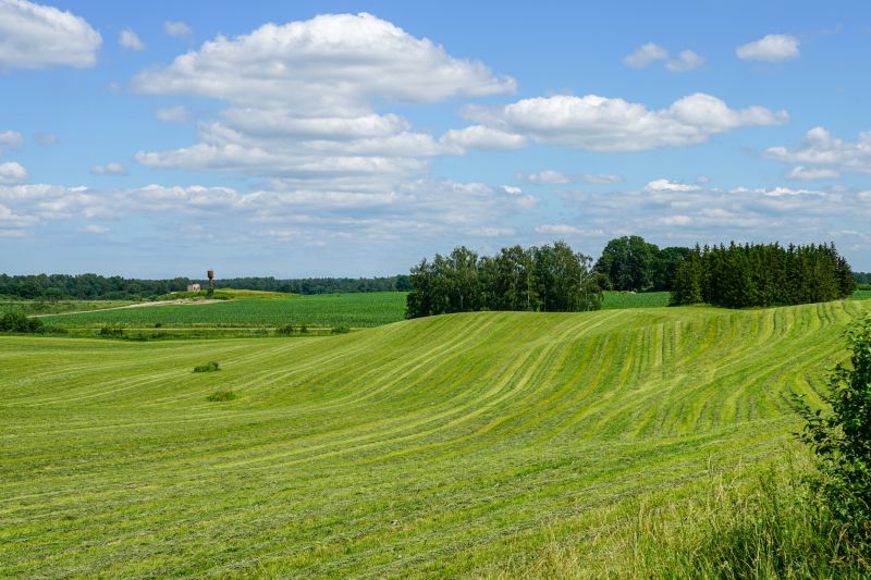 Seasonal Land Changes