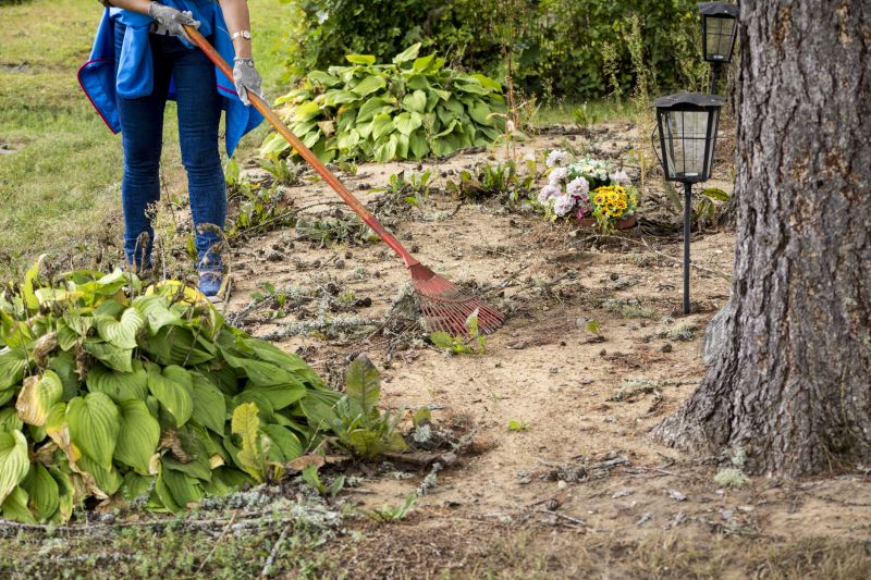 Clearing Brush and Trees