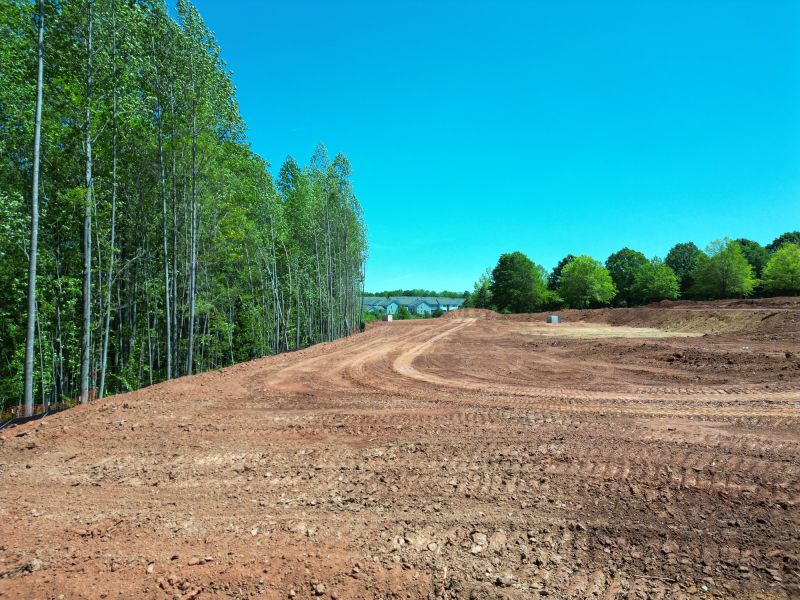 Professional Land Clearing Site