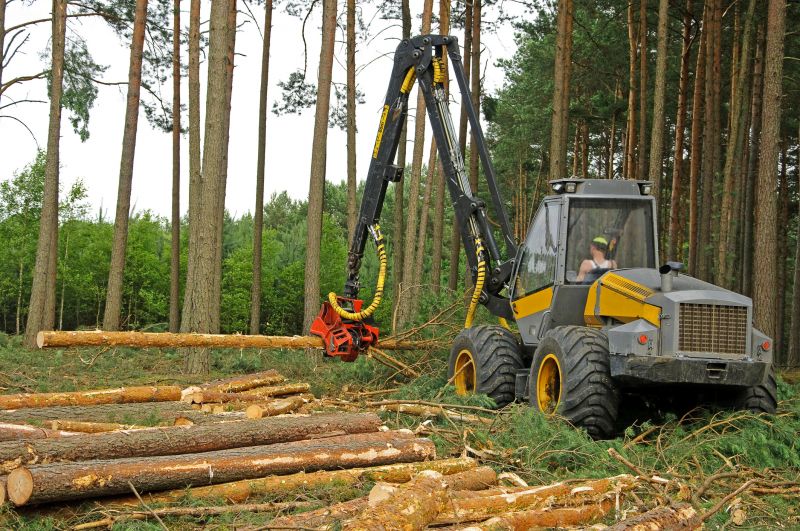 Land Clearing Equipment Storage